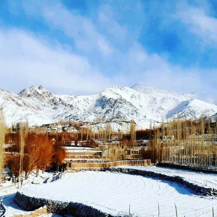 Ladakh Country Inn เลห์ ภายนอก รูปภาพ